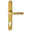 Hoppe Gold 'Birmingham' Pair Handle 92PZ or 92mm Sprung Lever