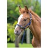 Shires Nylon Foal Slip: Navy Blue