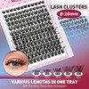 Mayhug Lash Clusters 144Pcs Cluster Lashes D Curl Individual Lashes