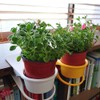 3Pcs Drink Cup Holder Clip, Table Desk Side Bottle Cup
