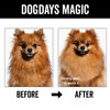 Pride and Groom DogDays Nourishing Dog Conditioner | Tearless, Hypoallergenic