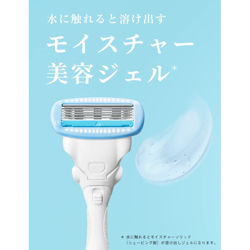 Chic Schick Hydro Silk Salon Plus Holder with Blade for
