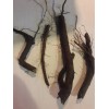 Roots Comfrey root cuttings LIVE 4 3 to 4" live