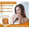 ULTHMOK 120 Premium Turmeric, Ginger, Cinnamon Blend Tea Bags, 100%