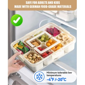 2 Pack Snackle Box Container - Dishwasher Safe, German Heat-Resistant Material, Divided Trays with Lid & Handle, Perfect for Fridge Organization, Travel, Charcuterie Boards & Portable Snack Platters