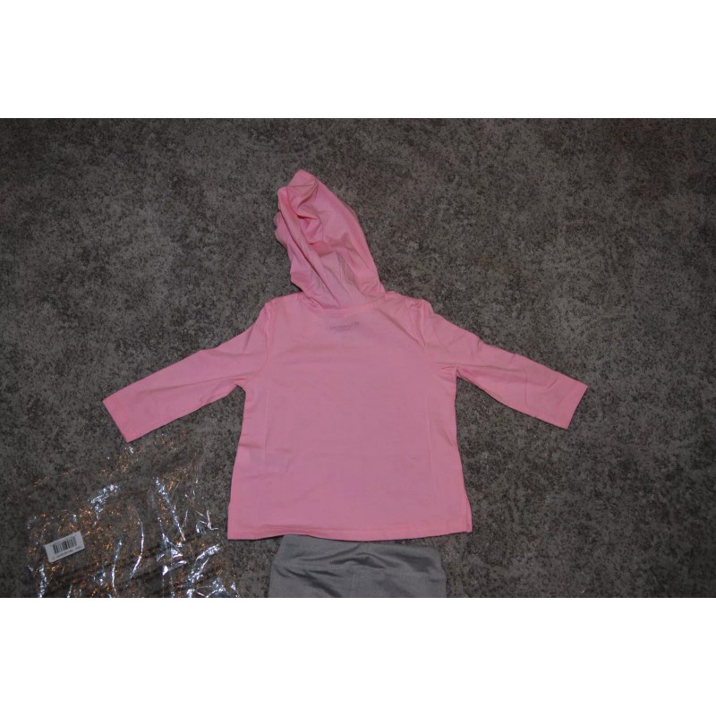 Champion Girls Champion Pink/Gray Hoodie & Pants Activewear Size 2T