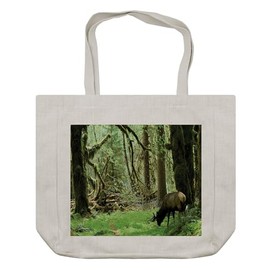 Ambesonne Rainforest Shopping Bag, Roosevelt Elk in Rain Forest Wildlife National Park America Antlers Theme, Eco-Friendly Reusable Bag for Groceries Beach and More, 15.5" X 14.5", Green Brown