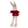 Paddy Hare Ragtag 8" Soft Toy (20cm)