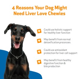 Pet Wellbeing Pet Wellbeing Liver Love Chewies for Dogs - Veterinarian-Formulated - Supports Healthy Liver Function, Detoxification, Antioxidant Protection, Milk Thistle, Artichoke, Jujube, Beets - 90 Soft Chews