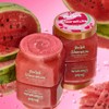 TREE HUT, Watermelon Shea Sugar Scrub, Exfoliante Corporal de Azúcar