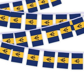 30PCS Barbados National Flag Bunting String,33 FT Barbados Pennant Banner Decoration,Decoration Banner for School Party Meeting Carnival Decor