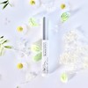 Cezanne Eyelash Serum EX Clear 0.2 oz (5.4 g)