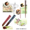 isida Chopsticks Fountains Flow Dishwasher Safe 21 cm