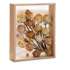 Wooden Dried Flower Photo Frame,Shadow Box Frame 8 x 10 Shadowbox Display Case Picture Frame Dried Flower Display Stand Decorative Floating Photo Frame（8 x10''）