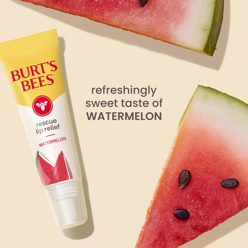 Burt's Bees Stocking Stuffers, Rescue Lip Relief, Watermelon, Hydrating Lip