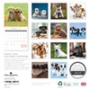 Puppy Love 2025 Large Wall Calendar, by Fresh Publishing, Size