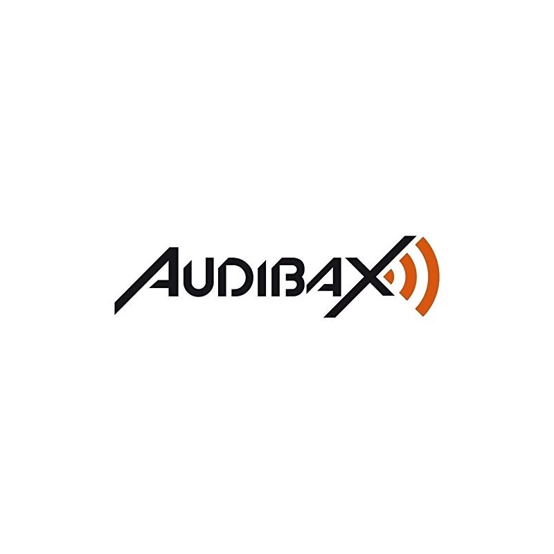 Audibax Alimentador para Pedal Guitarra 9 V Banano Power BP9V