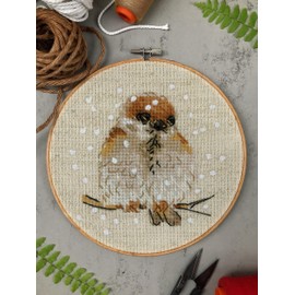 RIOLIS - Passero 1680, Punto croce 10x10cm, Punto croce kit da ricamare, Disegni da ricamare, Embroidery kit, Set punto croce, Kit ricamo punto croce