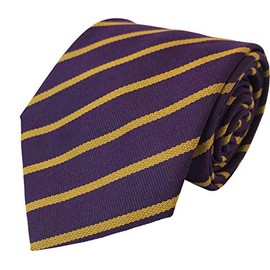 Great British Tie Club School Ties (21 Single Stripe Variations) (Purple & Gold)