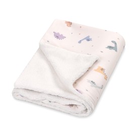 Julius Zöllner Winter Blanket Made of Cotton Jersey and Cuddly Teddy Fabric, Size 70 x 100 cm, Made in Germany, Oeko-Tex® Standard 100, Little Dinos