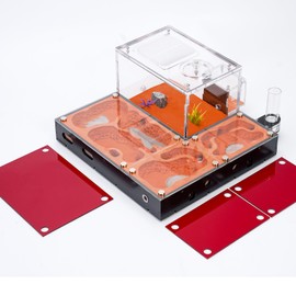 Rimsunta Ecological Ant Nest - Modular Ant Farm with Magnetic Glass Covers, Humidity Control, Ventilation, and Expansion Ports - Perfect for Ant Enthusiasts (10.63 x 9.84 x 5.12 inches)
