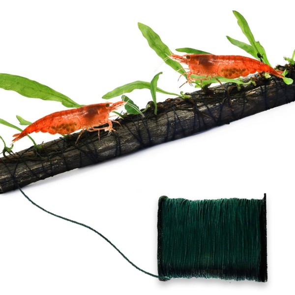 SunGrow Moss Cotton Thread, 20 Meters, Dark Green Color Similar to Willow Moss, Dissolves Eventually, Securely Attaches Floating Plants