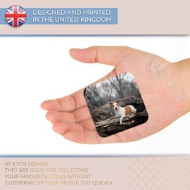 Destination Vinyl ltd Fridge Magnet - Cute Jack Russell Terrier Dog Puppy for Office, Cabinet and Whiteboard, Magnetic Stickers, 44783