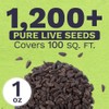 Morning Glory Seeds Heavenly Blue - Large 1 Ounce Packet