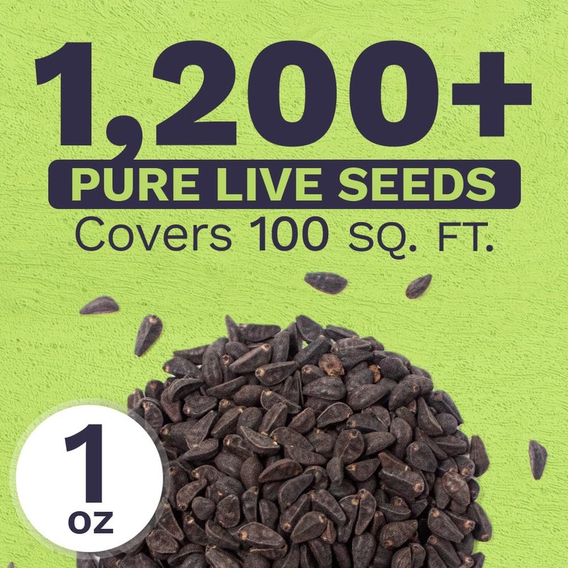 Morning Glory Seeds Heavenly Blue - Large 1 Ounce Packet