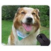 German Shepherd Grass Sitting Dog Mouse Pads,Border Collie Mix Mouse