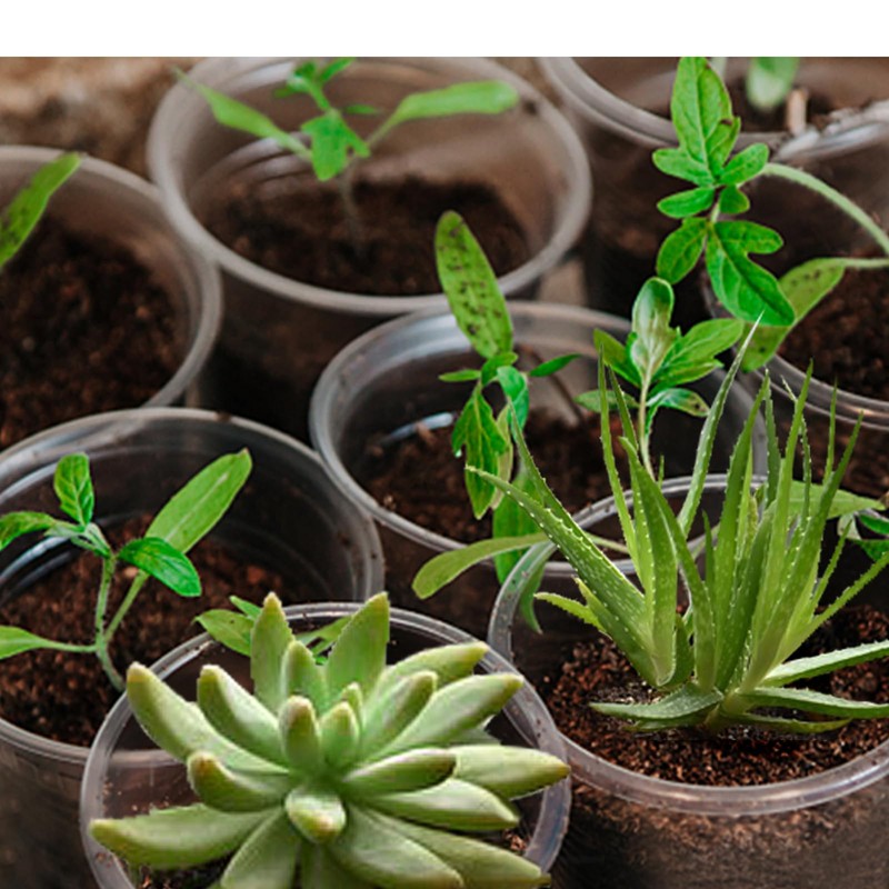 OUPSAUI OUPSAUI 21 Pack 3.5/5/6 Inch Clear Nursery Pots for