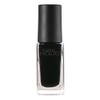 Nail Holic BK010 0.2 fl oz (5 ml)