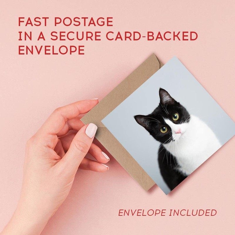 1 x Greeting Card Black & White Cat Kitten Pet