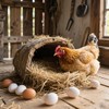Azatemgo Chicken Eggs Fake Chicken White Eggs Easter Eggs Set