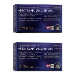 Yeo Esther Fossain Chondroitin 1200 700mg 60 tablets 2 boxes / 여에스더 포사인 콘드로이친 1200 700mg 60정 2박스