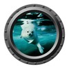 Harp Seal - Porthole Wall Decal