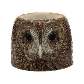 Quail Ceramics Tawny Owl Face Egg Cup