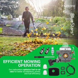BlueStars BG56C Carburetor Carb - Compatible with Stihl BG56 BG56C Leaf Blower - Replaces ZAMA C1M-S260B 4241-120-0632 4241-120-0622 4241-120-0615 Engine with Air Filter Fuel Line Spark Plug Kit