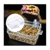 GYWHOOFT Chameleon Bowl, Reptile Feeding Food, Water Dish Gecko Worm