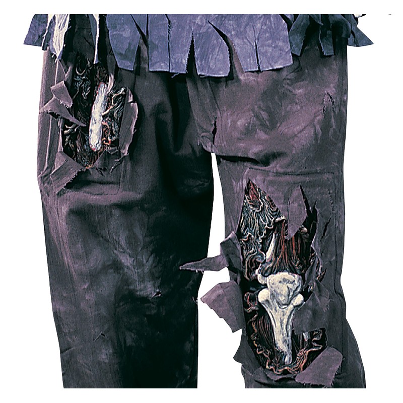 Fun World Complete Zombie Costume, Small 4-6, Multicolor