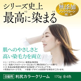 Sastty Color Cream for Gray Hair, Black, 6.0 oz (170 g)