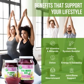 EverSmith Organics - Wildcrafted Irish Sea Moss Gel | Made in USA | Rich in Vitamins & Minerals | Sea Moss Gel Raw | Nutritional Supplement | Elderberry (16 oz) | EverSmith Organics