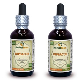 Dipsacus (Dipsacus Asper) Tincture, Dried Roots Liquid Extract (Brand Name: HerbalTerra, Proudly Made in USA) 2x2 fl.oz (2x60 ml)
