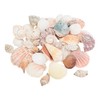 Eurosand Seashell Mix Natural 600 g, Decorative Shells for Maritime