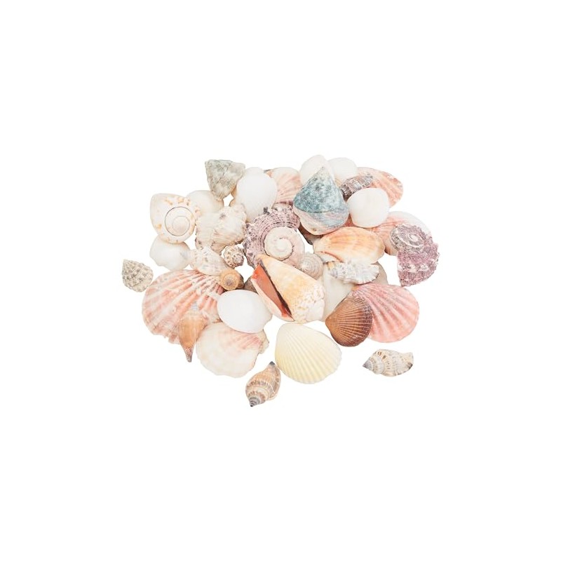 Eurosand Seashell Mix Natural 600 g, Decorative Shells for Maritime