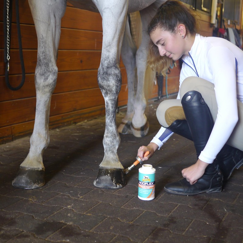 W F YOUNG Absorbine Hooflex Conditioner Liquid with Brush