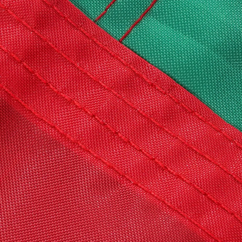 FLAGWIN Old Iranian Flag 3x5 Feet, Heavy Duty Old Iran
