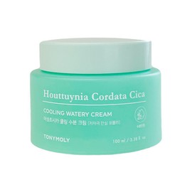 Tonymoly 토니모리 어성초 시카 쿨링 수분 크림 100ml / 써클 Tony Moly Tea Tree Cica Cooling Moisture Cream 100ml / Circle