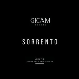 SORRENTO Scent Scented Aroma Fragrance Freshener - Size: 100 ML