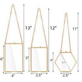 AVLA 3 Pack Pressed Flowers Glass Frames, Brass Hanging Picture Frames with Chain, Small Golden Floating Photo Frame, Clear DIY Artwork Display Frame for Wall Decor, Dried Plant Specimen